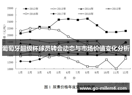 葡萄牙超级杯球员转会动态与市场价值变化分析