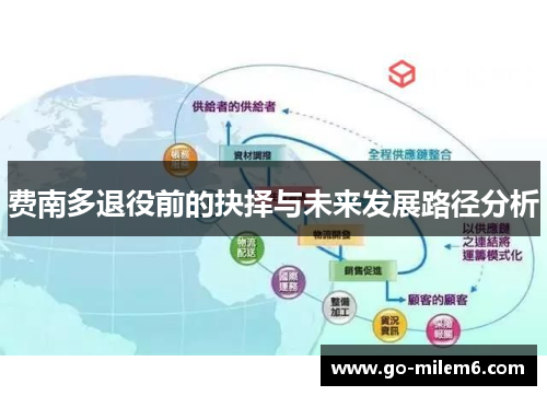 费南多退役前的抉择与未来发展路径分析