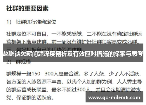 赵鹏谈欠薪问题深度剖析及有效应对措施的探索与思考